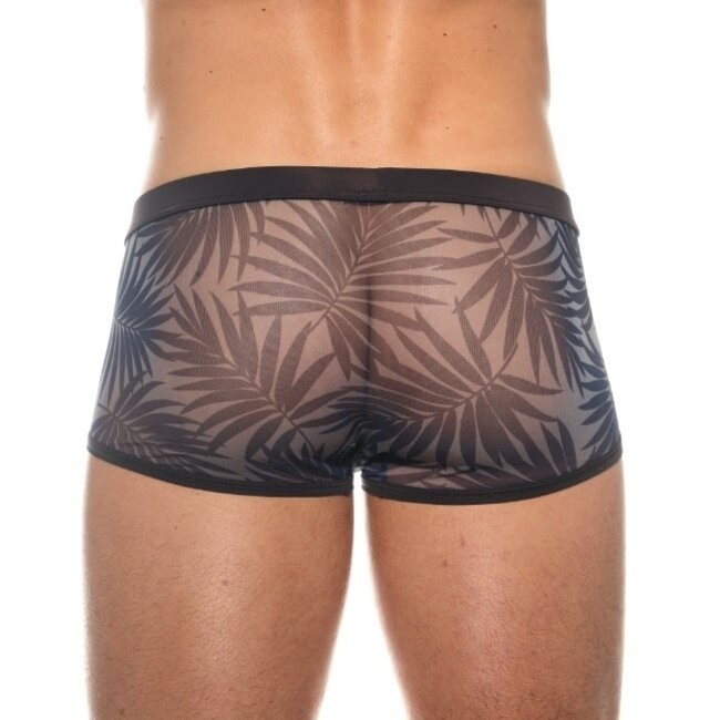 Gregg Homme Outline boxer