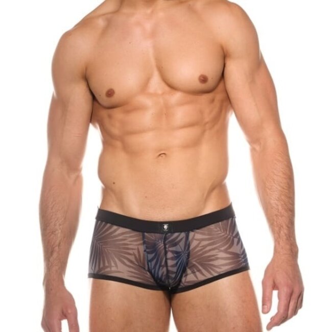 Gregg Homme Outline boxer