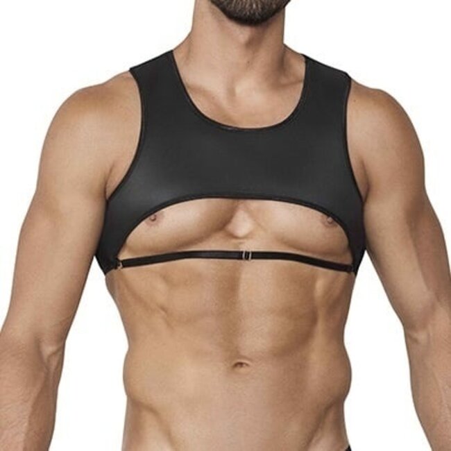 Pikante Energy harness