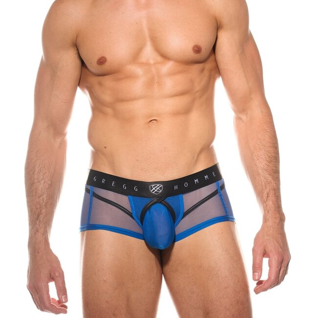Gregg Homme Erupt  boxer brief