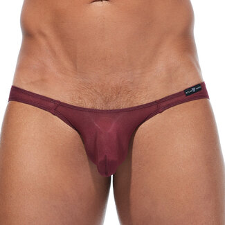 Gregg Homme Gregg Homme Torridz  brief