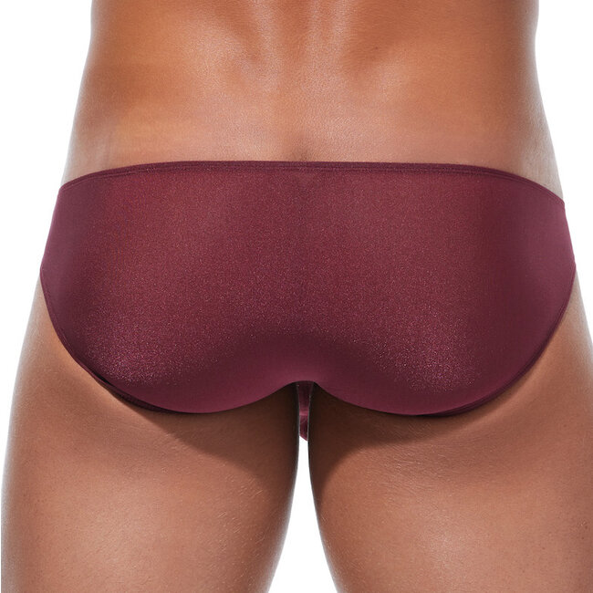 Gregg Homme Torridz  brief