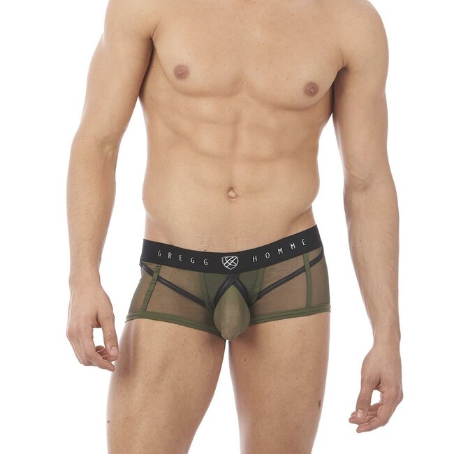 Gregg Homme Erupt boxer brief