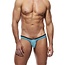 Gregg Homme Voyeur brief