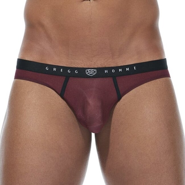 Gregg Homme Torridz brief