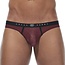 Gregg Homme Torridz brief