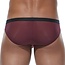 Gregg Homme Torridz brief