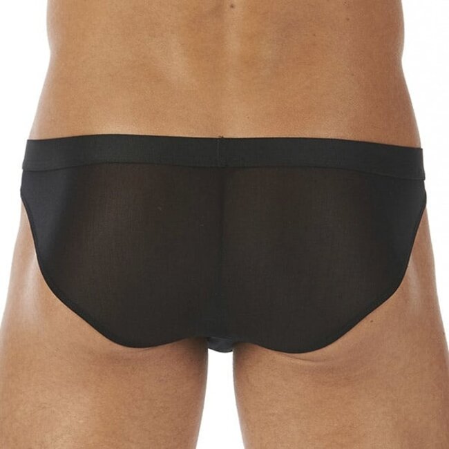 Gregg Homme Torridz brief