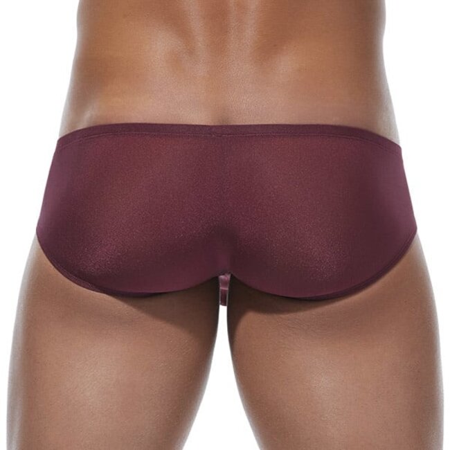 Gregg Homme Torridz boxer brief