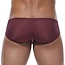 Gregg Homme Torridz boxer brief
