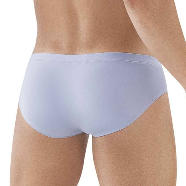 Clever clever latin brief