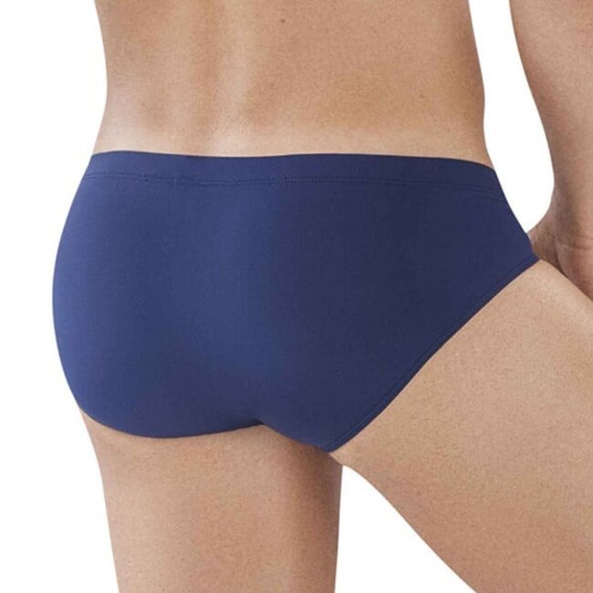 Clever clever latin brief