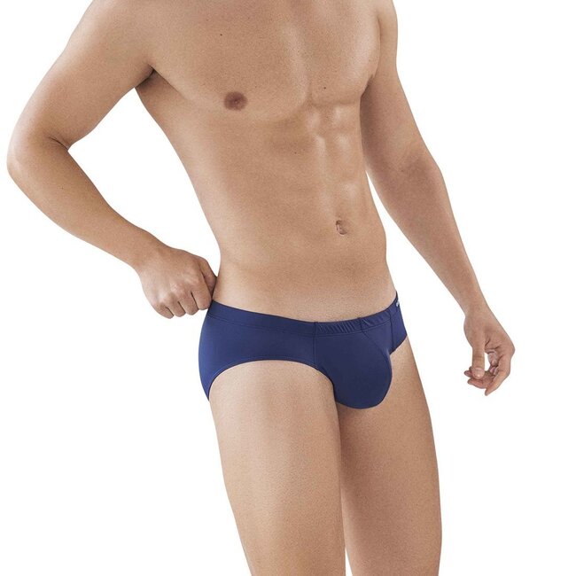 Clever clever latin brief