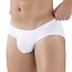 Clever clever latin brief
