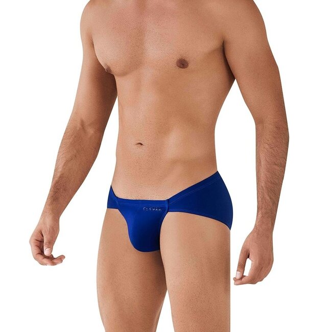 Clever Arawak brief