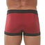 Gregg Homme Room-Max Boxer Brief