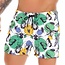 Jor Jor Beetle swimshort