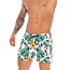 Jor Beetle swimshort