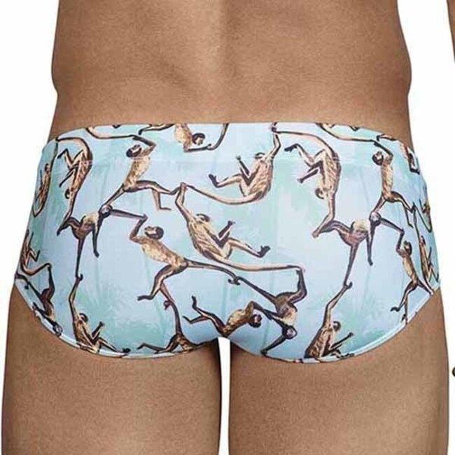 Clever Alsina swimsuit brief