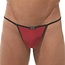 Gregg Homme Gregg Homme Voyeur String