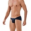 Clever Arawak brief