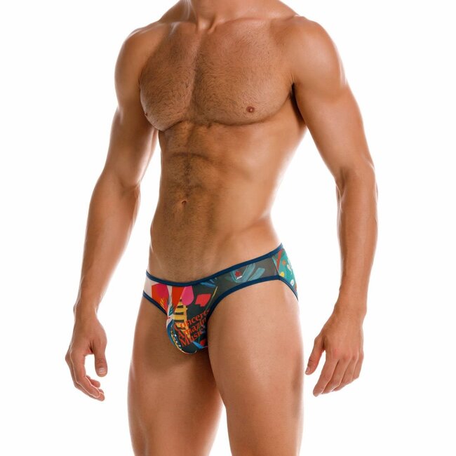Jor Fest Bikini Slip