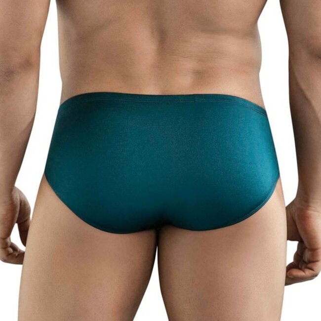 Clever celestial brief