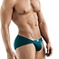 Clever celestial brief