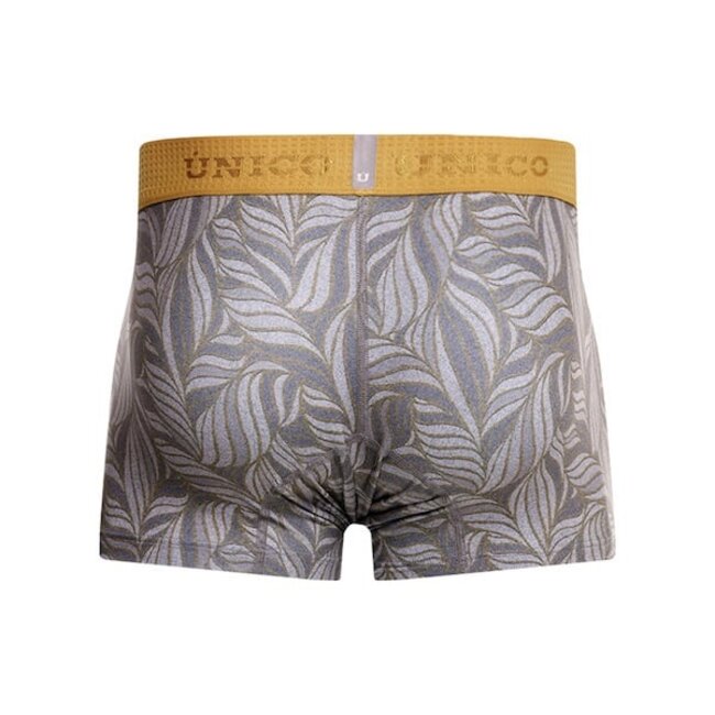Mundo Unico caudal boxers