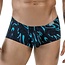 clever grosh latin boxers