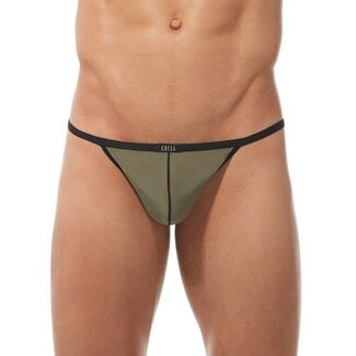 Gregg Homme Gregg Homme Torridz herenthong Gregg Homme Gregg Homme Torridz herenthong