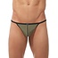 Gregg Homme Torridz herenthong