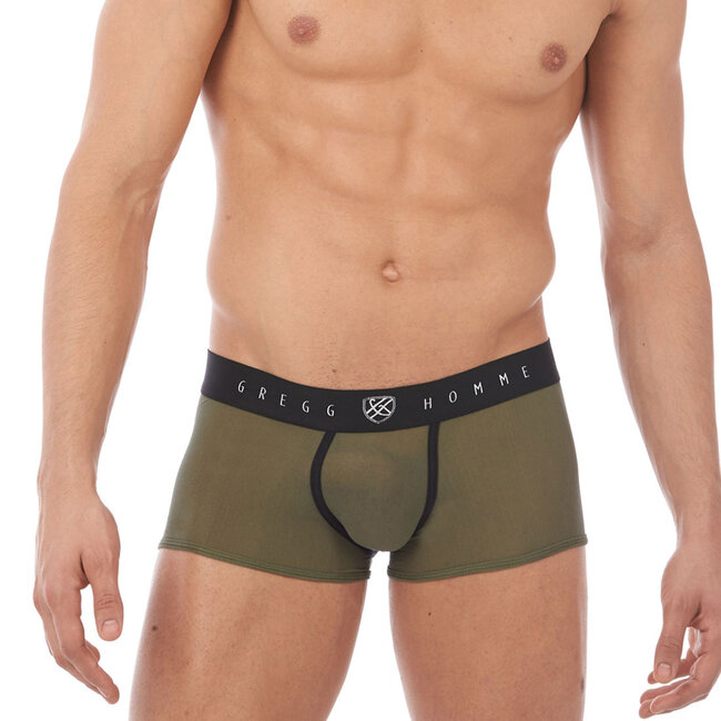 Gregg Homme  Torridz boxers