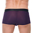 Gregg Homme  Torridz boxers