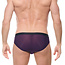 Gregg Homme Torridz brief