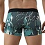 Clever galia boxers