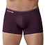 Clever valladolid boxers