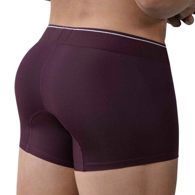 Clever valladolid boxers