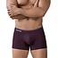 Clever valladolid boxers