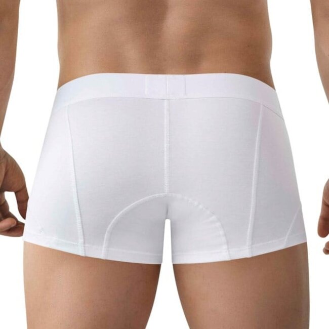 Clever instinto boxers