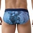Clever galia brief latino