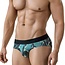 Clever galia brief latino