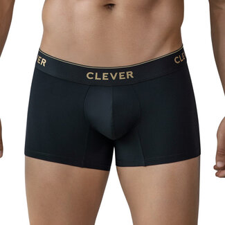 Clever Clever valladolid boxers