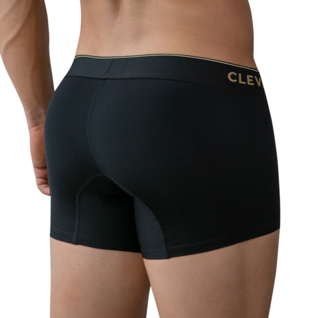 Clever valladolid boxers
