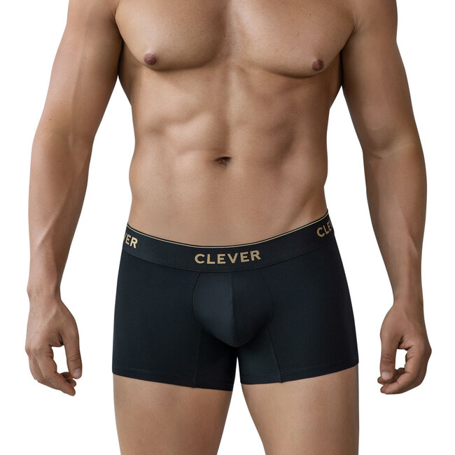 Clever valladolid boxers