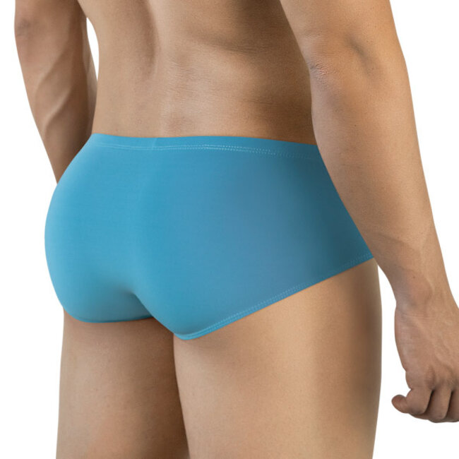 Clever mendoza brief