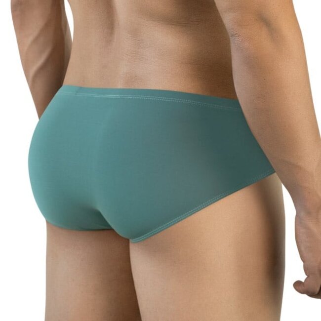 Clever mendoza brief