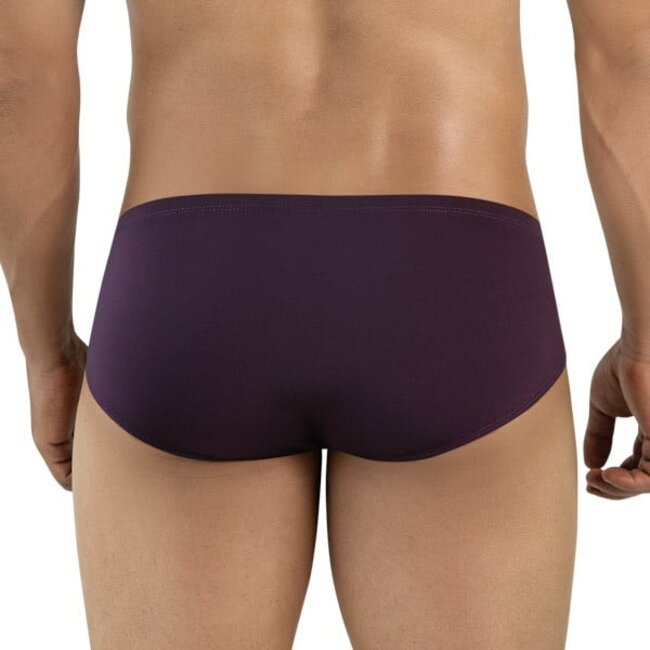 Clever mendoza brief