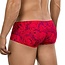Clever helion latin boxers