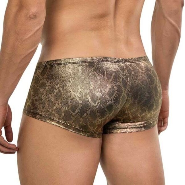 Clever atlas latin boxers